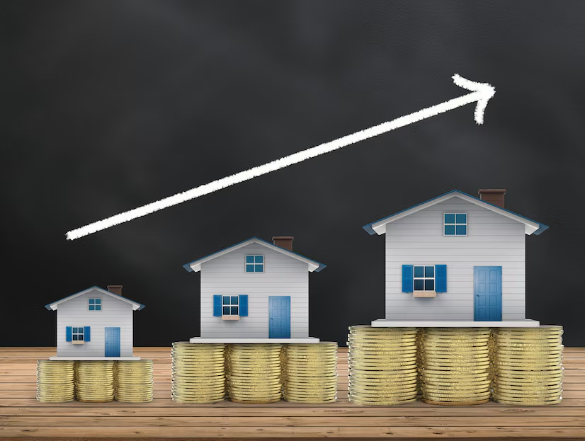 Why Investment